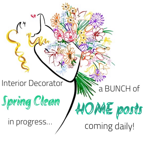 Other - Party Stylist & Interior Decorator Spring Clean